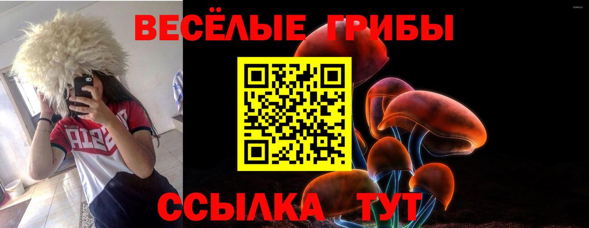 Псилоцибиновые грибы Psilocybe Донской